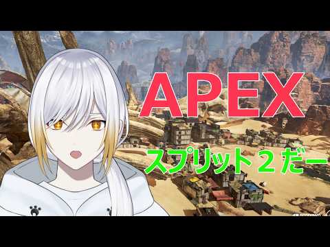 【APEX】プラチナソロランク　ランク頑張る！【暁ガルル・個人vtuber】の配信サムネイル
