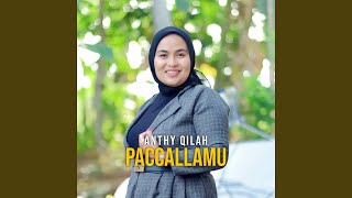 Paccallamu