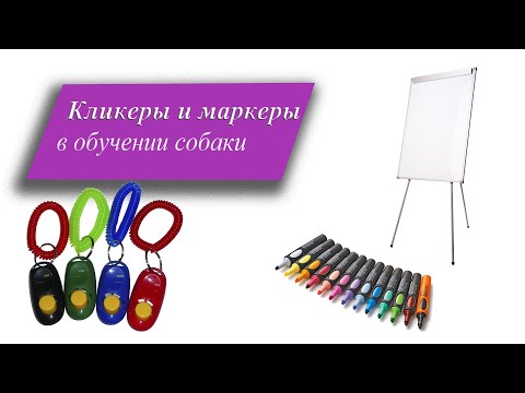 Кликер и маркеры в дрессировке