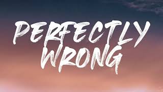 Shawn Mendes - Perfectly Wrong (Lyrics)