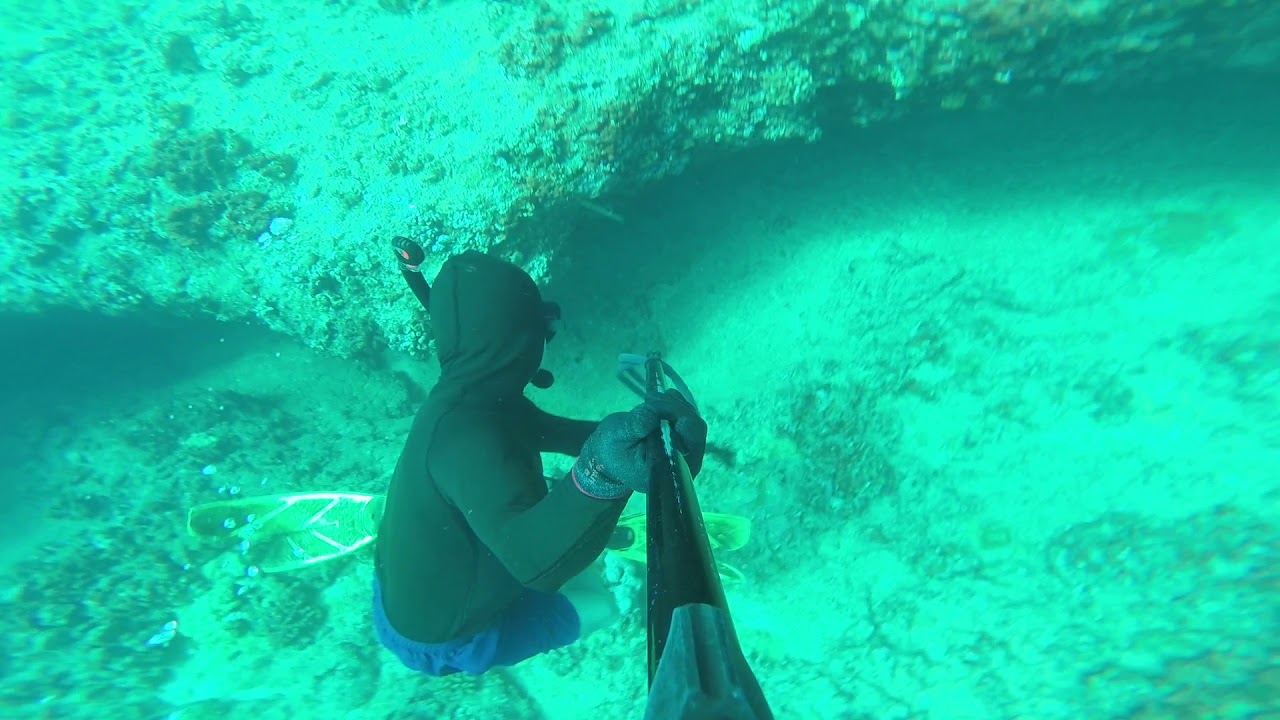 Spearfishing Oahu Hawaii, Menpachi YouTube