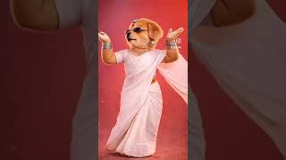 AI video dancing Dog 26May 2026