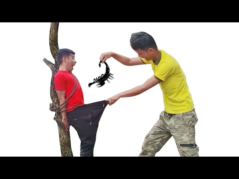 funny video 2022 new of two brother, just for laughs 2022.Cười té ghế của anh em ht fun