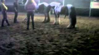 VID 00011 20110428 2010