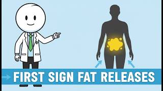 Download Lagu The First Sign Your Body Starts Releasing Belly Fat While Walking (Science Explained) MP3