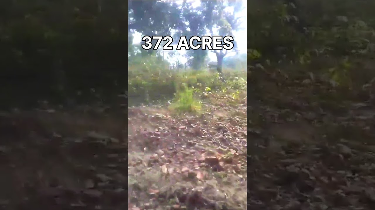 🌾 372 Acres Agriculture Land for Sale in Odisha 🌾  📍 Location: Dhenkanal