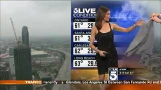 Weather reporter haded a sweater for wearing a revealing dress