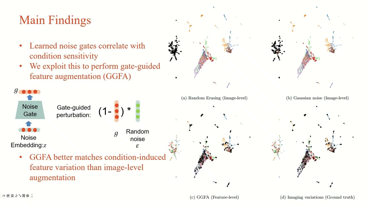 Noise-Aware Adaptation of Pre-trained Foundation Models for Single-photon Image Classification(TMLR)