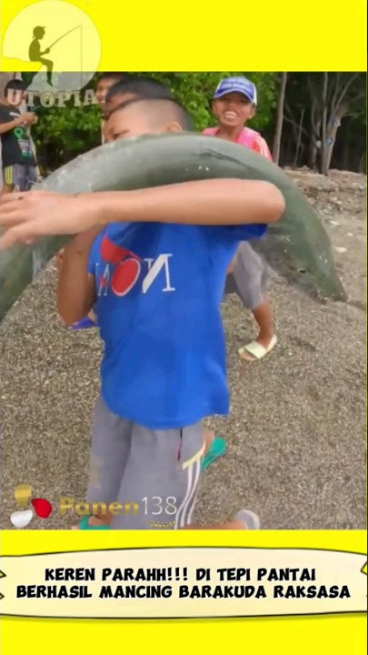 Mancing Di Tepi Pantai Dapat Barakuda Raksasa #shortvideo #shortsvideo #shorts #short #viral #fish