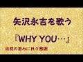 『WHY YOU...』/矢沢永吉を歌う_416 by 自然の恵みに日々感謝