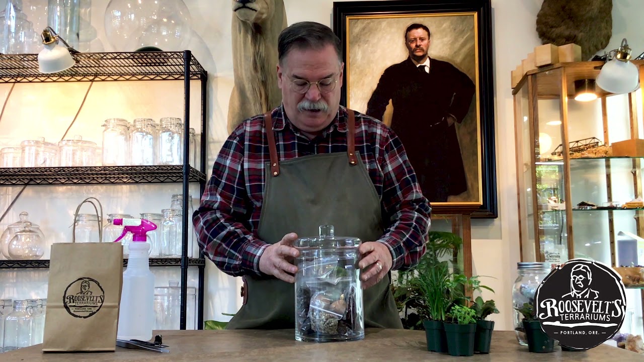 Roosevelt's Terrariums Online Class