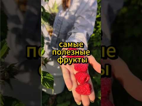Самые полезные фрукты. #фрукты #полезно #здоровоепитание #здороваяеда #арбуз #авокадо #лимон