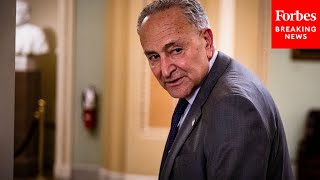 Schumer Vows Continued Infrastructure Push After Senate Republicans Blocked Advancement Of Bill