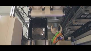 Automation - Newton’s Personalised Medicine Robot