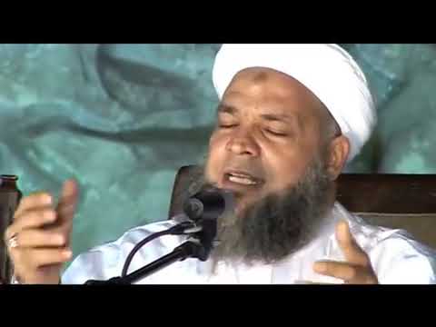 القصيدة المضرية