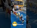 Wait for the puppy sneeze... 🤧🥺"#youtubeshorts #shortfeed #animals #dog #dogs