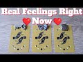 What are their real feelings for you right now  pick a card  timeless tarot 