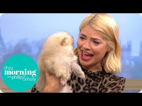 Holly Cries Over Puppies During Her Birthday Surprise | This Morning