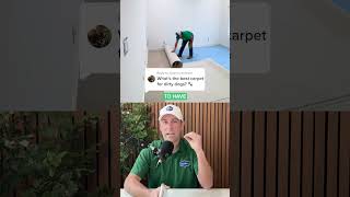 Pet Resistant Carpet - How to remove pet stains from carpet - Carpet Now Austin, DFW, San Antonio