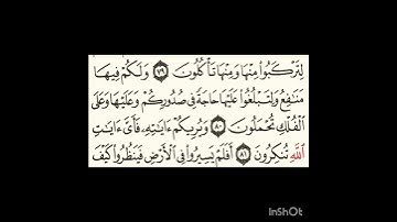 سورة غافر ٨٠الى٨١ #سورةالفاتحة #اكسبلور #المصحف #سورةالكوثر #سورةالاخلاص #لايك #الرحمن #تيك_توك