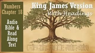NUMBERS 18 | KJV DRAMATIZED AUDIO BIBLE (With Text & Images)