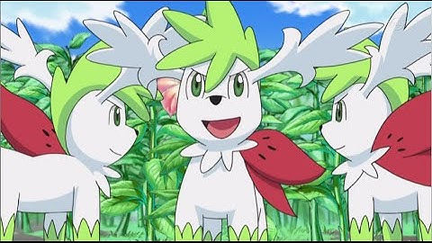 How to get Sky Forme Shaymin in Pokemon ORAS