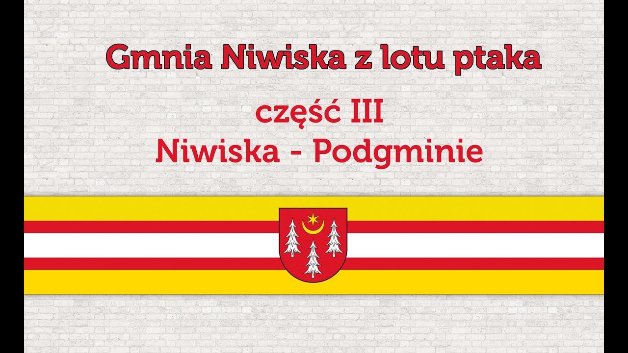 Gmina Niwiska z lotu ptaka- Niwiska Podgminie