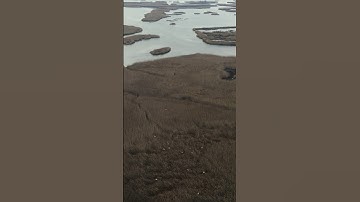 Public Land scouting with Jake Bush and Greg Litzinger  #hunting #saddlehunt #bowhunting #publicland