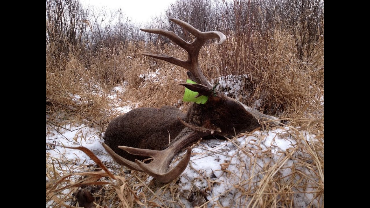 What are some popular public hunting grounds in Wisconsin?