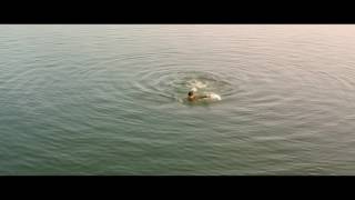 Sairat yad lagala fusion Never Say Goodbye screenshot 5
