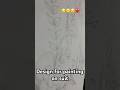 Design for painting #viral#video #viral #short #simple#beautiful #desing