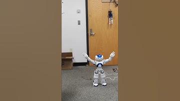 Nao robot demo