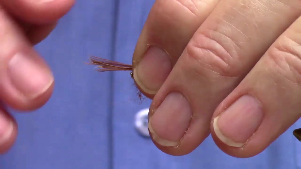 Cow Dung Wet Fly (var)