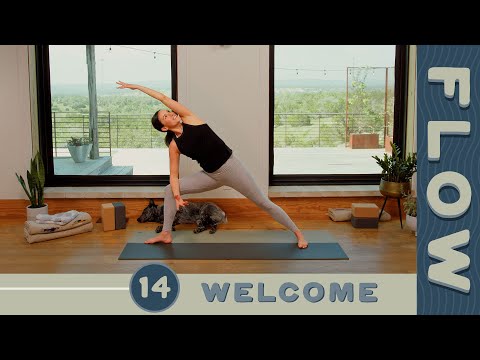 Yoga With Adriene' Is My Pandemic Lifeline - The Atlantic