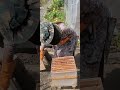 Maungrah ki jankari