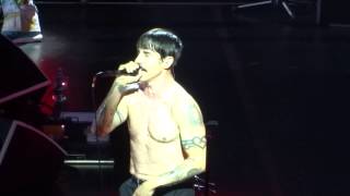 Red Hot Chili Peppers - Go Robot (live, Vienna, 21.11.2016)