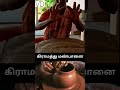 இதுல சமைச்சு சாப்பிட்டா டேஸ்டு டேஸ்ட் | Village Dictionary #india #agriculture #donkeyvillage