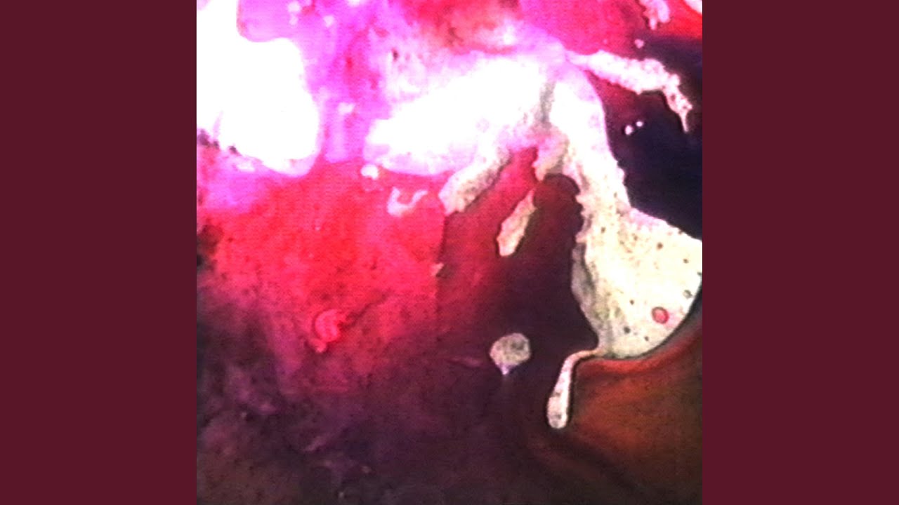 Psychedelic Death (Studio)