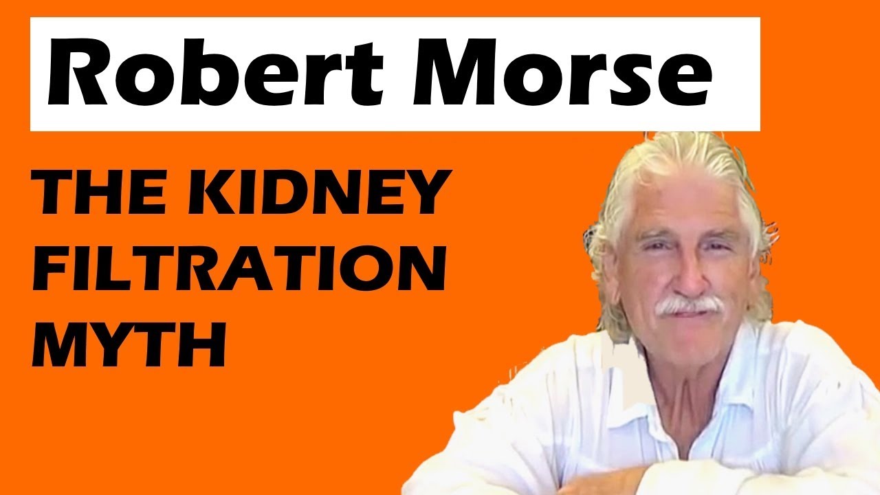 Robert Morse Part 3 KIDNEYS DON'T FILTER LYMPH YouTube