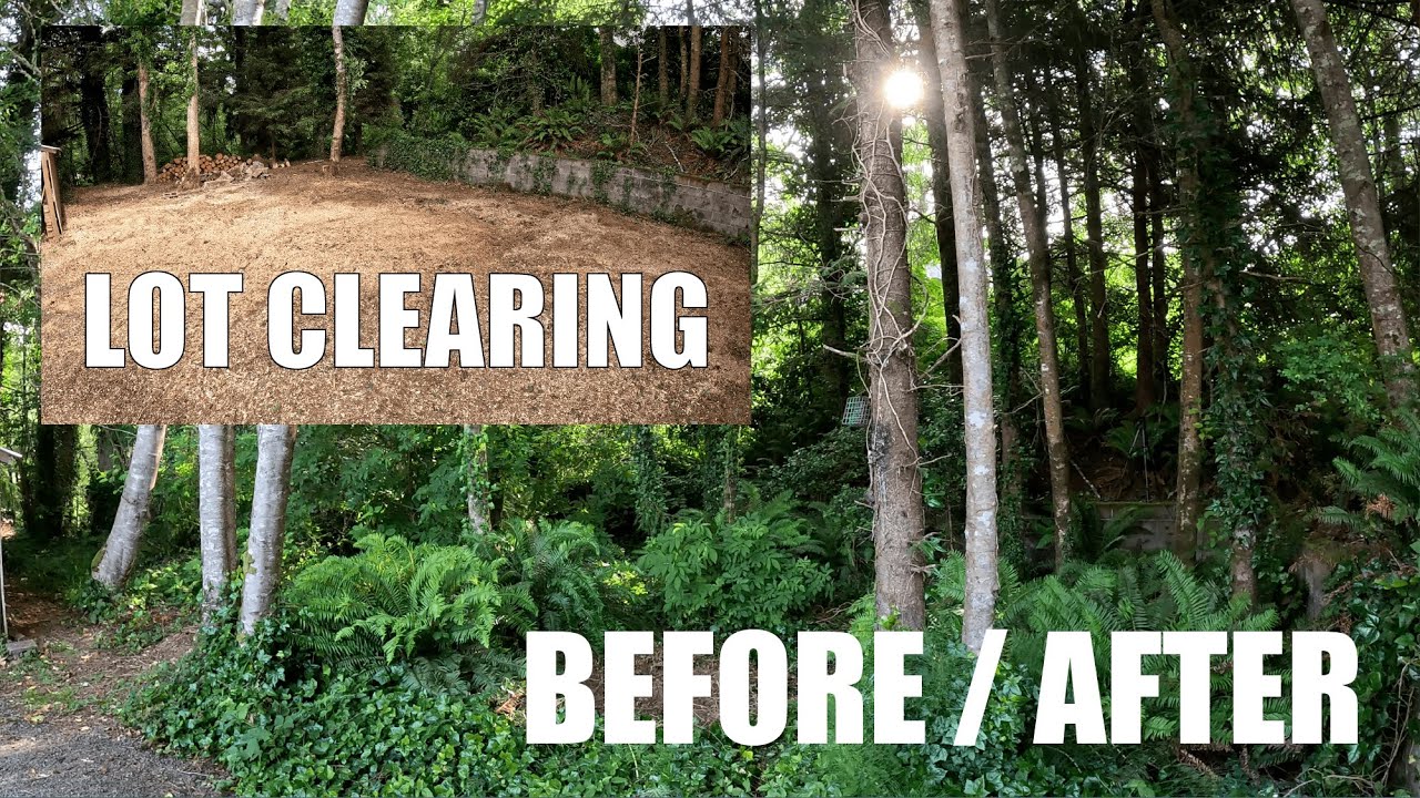 Complete Lot Transformation | Tree Removals, Stump Grinding & Brush Cutting | Netarts, OR