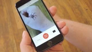 Try On Tattoos in Real Time Using Your iPhone [How-To] screenshot 5