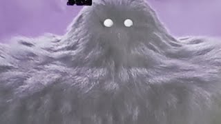 Saturday Live Q&A WTTGT Trim Session