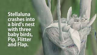 Stellaluna Book Trailer