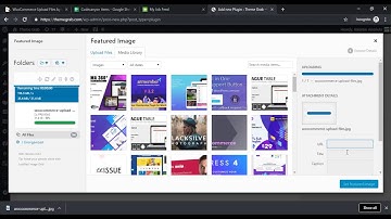 Data entry to a WordPress site