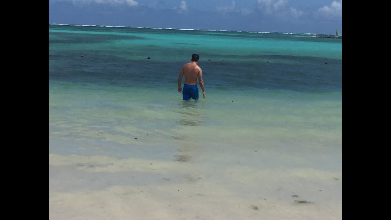 Best Caribbean and Atlantic Beaches in Florida, Mexico, Barbados, St. Lucia, Punta Cana, Antigua st. lucia - elevate