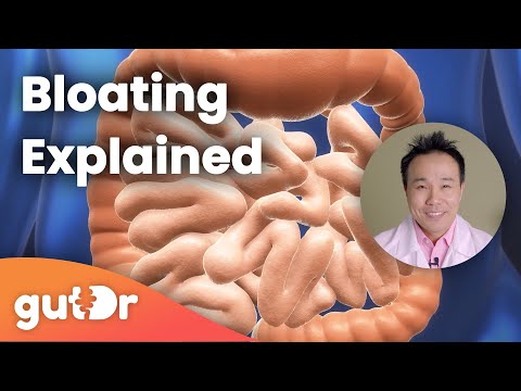 Bloating | The GutDr Explains (3D Gut Animation)