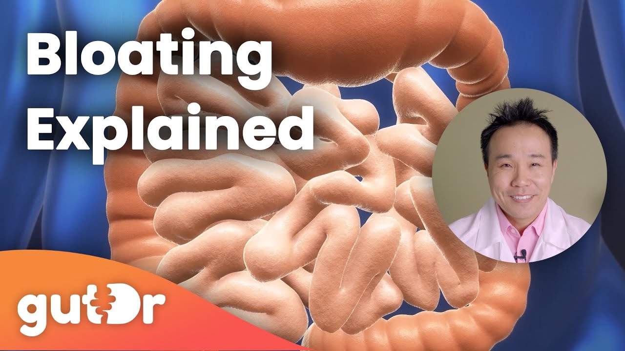 Bloating | The GutDr Explains (3D Gut Animation) - YouTube
