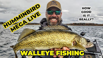 HUMMINBIRD MEGALIVE WHILE WALLEYE FISHING