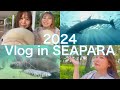 【Vlog】in 八景島シーパラダイス with 童処（どうしょ）【2024.7.24】