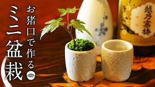 お猪口で作る豆盆栽 初心者の簡単盆栽 ミニ盆栽の作り方 DIY 苔 コケ MINI BONSAI もみじ モミジ 紅葉 GARDENING 小品 ガーデニング 酒 おちょこ 100円素材 秋